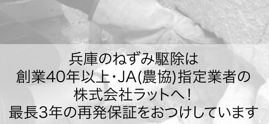 神戸市のネズミ駆除はJA(農協)の指定業者の株式会社ラットへお任せください。最長３年間のネズミ再発保証付き。