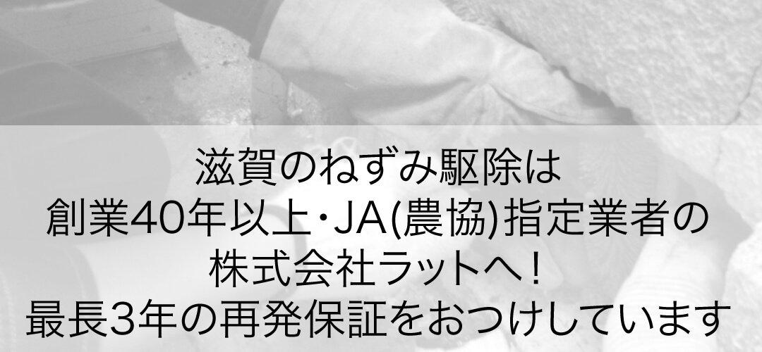 滋賀県のネズミ駆除最長3年間の保証付き。株式会社ラットはJA(農協)の指定業者です。